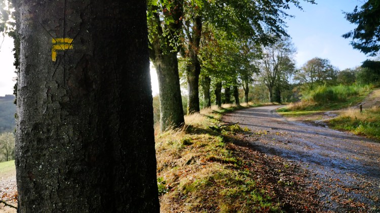 Les Enchevêtré·e·s à&nbsp;Meymac