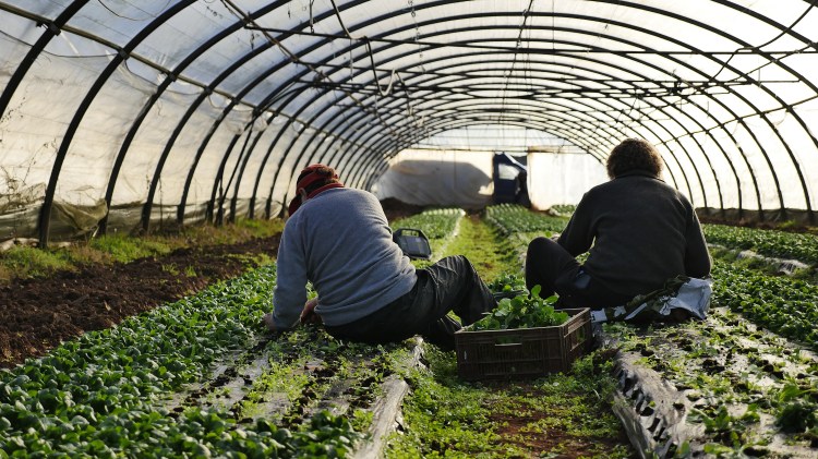 Les Enchevêtré·e·s à Voutezac &&nbsp;Objat