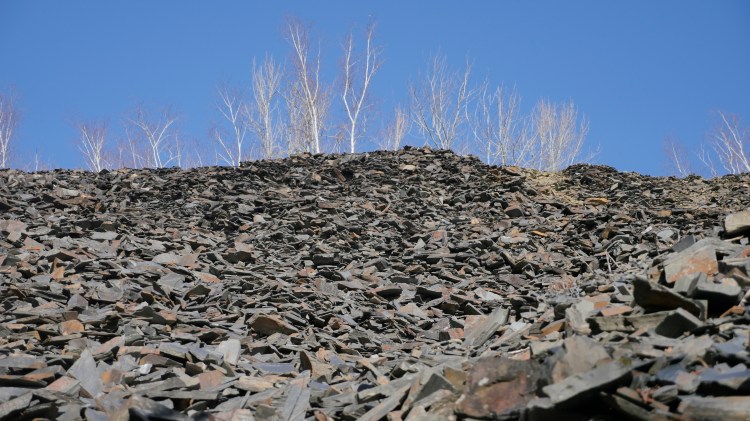 La marche de&nbsp;l&rsquo;hiver