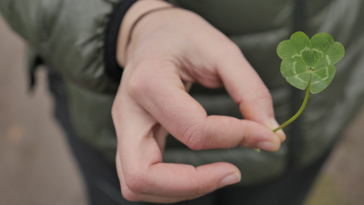 Le grand prix La&nbsp;Scène